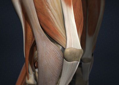Common Orthopedic Pain Conditions